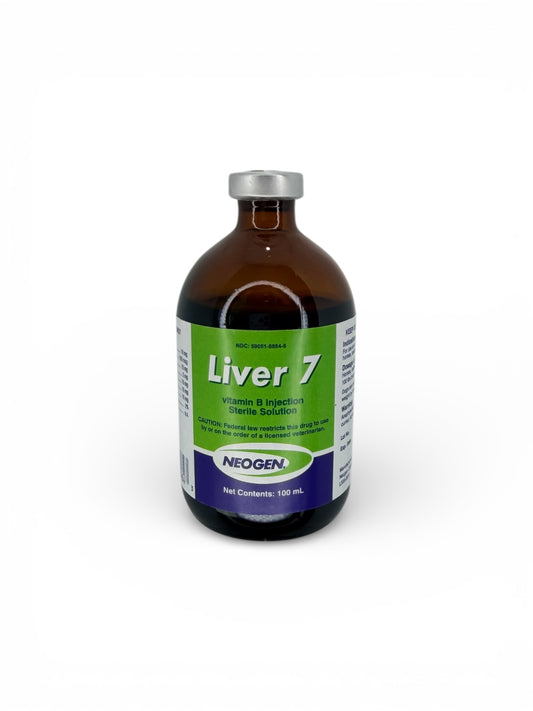 Liver 7