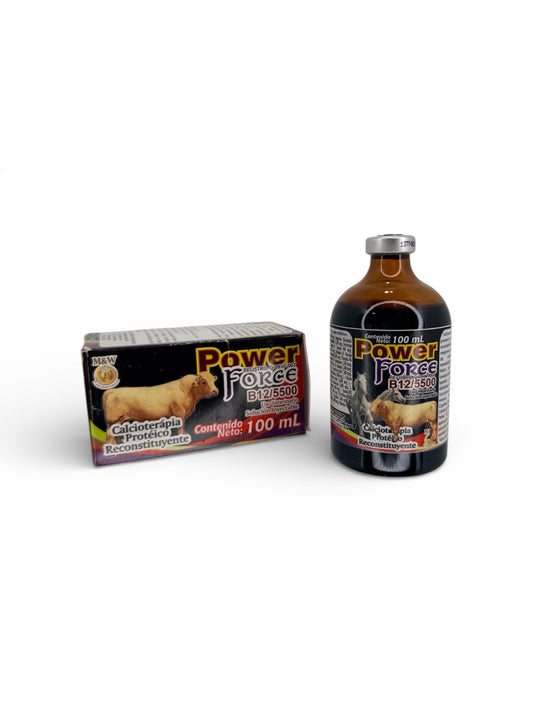 Power Forcé  b12 5500