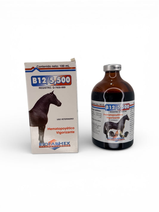 B12 5500