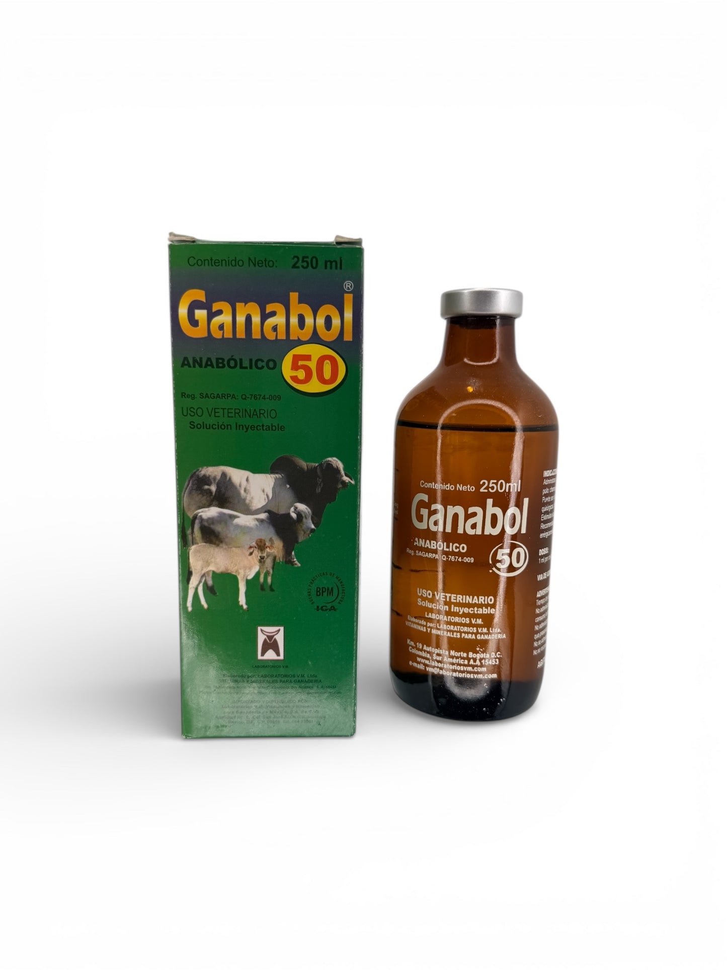 Gana bol
